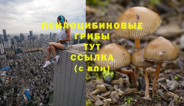 прущая мука Белокуриха