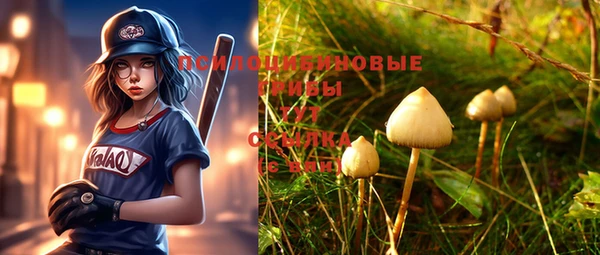 дурь Беломорск