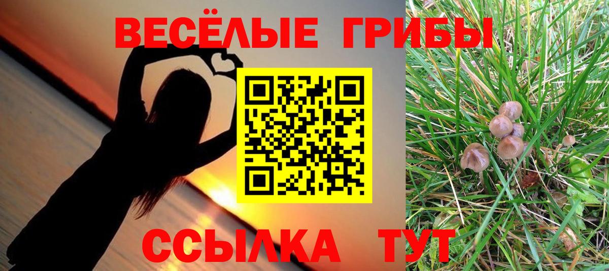 Псилоцибиновые грибы мицелий Гулькевичи
